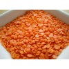 Lentils