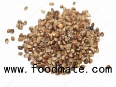 Hemp Seeds