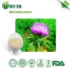 Milk Thistle Extract