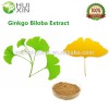 Ginkgo Biloba  Extract