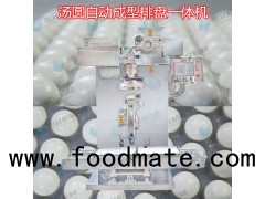 Tangyuan machine