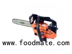 Mini Gas Powered Chain Saw