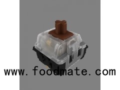 DIP Keyboard Brown Switches