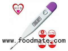 Digital Baby Thermometer