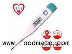 Rigid Digital Thermometer