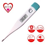 Rigid Digital Thermometer