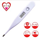 Digital Clinical Thermometer