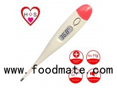 Rectal Thermometer