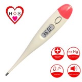 Rectal Thermometer