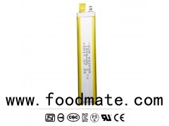 LED Light Lithium Battery