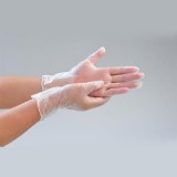 Clear Pre-powdered Vinyl Gloves