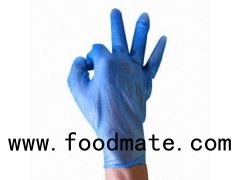 Blue Pre-powdered Vinyl Gloves