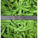 IQF Vegetable Frozen Peapods