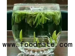 china best supplier for organic green tea -Hanzhong xianhao