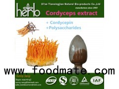 Cordyceps extract Powder