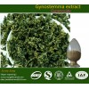 Gynostemma Pentaphylium Extract