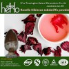 hibiscus flower extract