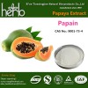 Papaya Extract Papain