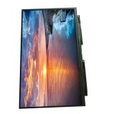 11.6 Inch 1920x1200 Color Tft Lcd Panel For Panasonic