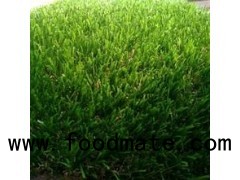 Non Filling Soccer Field Grass Carpet