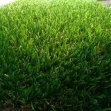 Non Filling Soccer Field Grass Carpet