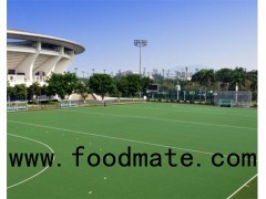 Futsal Football Grass