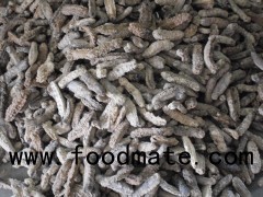 Dried Sea Cucumbers