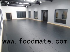 Judo Gym Mats