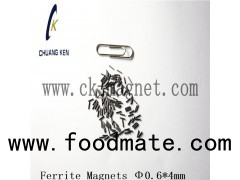 Permanent Sintered Hard Ferrite Magnet