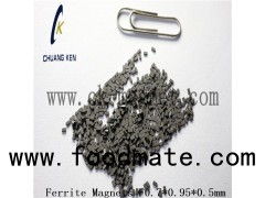 Permanet Sintered Ferrite Magnet For Motor