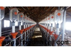 GOLDENEST Good quality livestock husbandry equipment