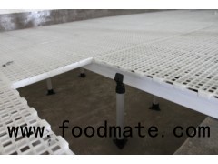 Goldenest high quality plastic slats floor system for broiler and pig farm