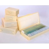 50pcs Glass Prepared Microscope Slides