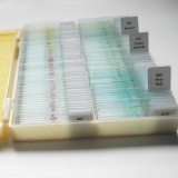 100pcs Glass Prepared Microscope Slides