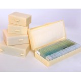 Prepared Microscope Slides In Wooden Box