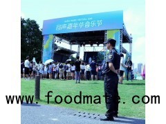 Music Festival Security