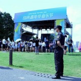 Music Festival Security