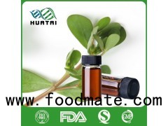 Huatai Produce Portulaca plus extract Compounds Ingredients
