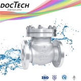 Stainless Steel ANSI Cf8 Cf8m Flange Swing Check Valve