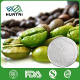 Green Coffee Bean Extract Chlorogenic Acid Cas327-97-9