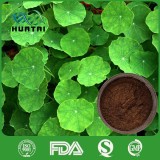 Gotu Kola Extract Extract Centella Asiatica Extract for prevent wrinkles