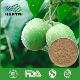 Arhat Fruit Extract From Luo Han Guo Mogrosides Cas88901-36-4