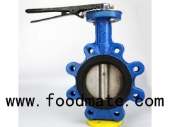 Lug Concentric Butterfly Valve