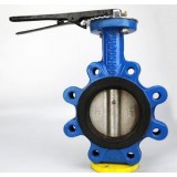 Lug Concentric Butterfly Valve