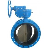 Double Flange Concentric Butterfly Valve