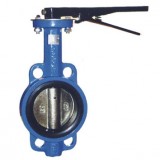 Wafer Concentric Butterfly Valve