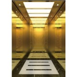Titanium Gold Passenger Elevator