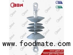 Composite Electrical Insulators