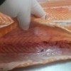 Frozen Salmon Fillet/Fresh Frozen Salmon Fish /Frozen Chum Salmon Fillet