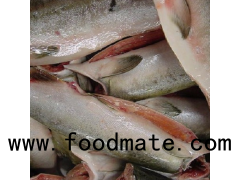 Frozen Rainbow Trout Fish/  Frozen Pink Salmon / Frozen Salmon Fish